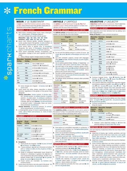 French Grammar SparkCharts cover