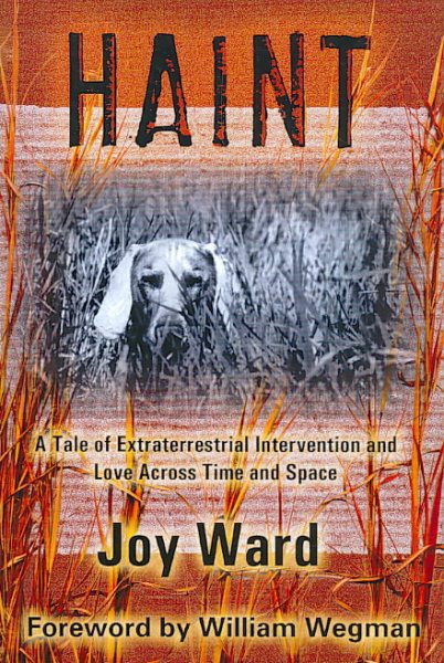 Haint: A Tale of Extraterrestrial Intervention and Love Across Time and Space cover