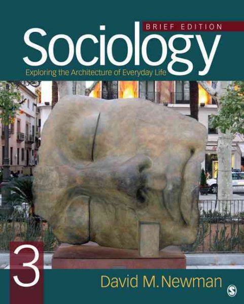 Sociology: Exploring the Architecture of Everyday Life, Brief Edition cover