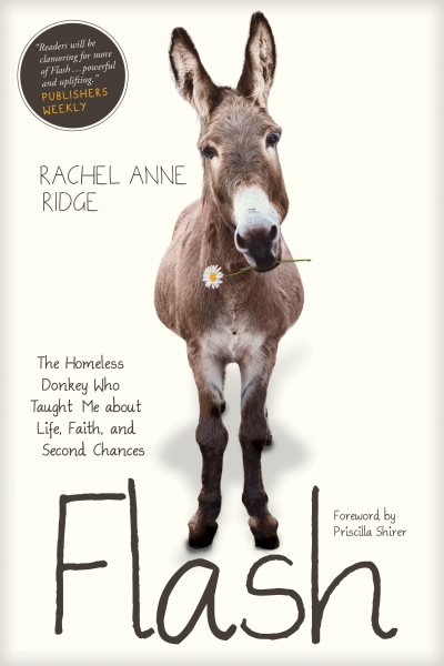 Flash: The Homeless Donkey Who Taught Me about Life, Faith, and Second Chances (Flash the Donkey) cover
