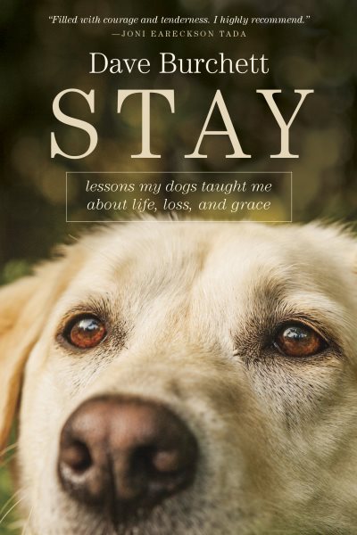 Stay: Lessons My Dogs Taught Me about Life, Loss, and Grace cover