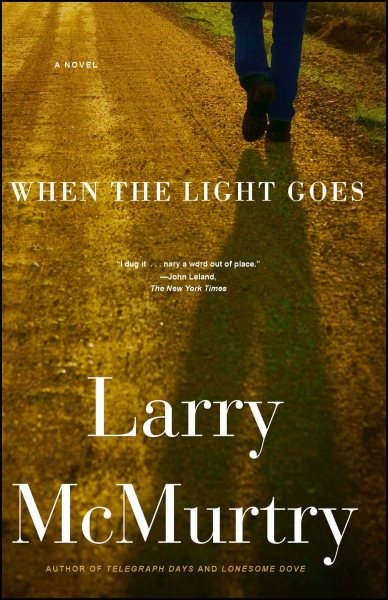 When the Light Goes: A Novel cover