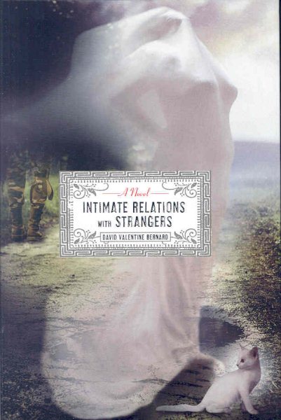 Intimate Relations with Strangers: A Novel cover
