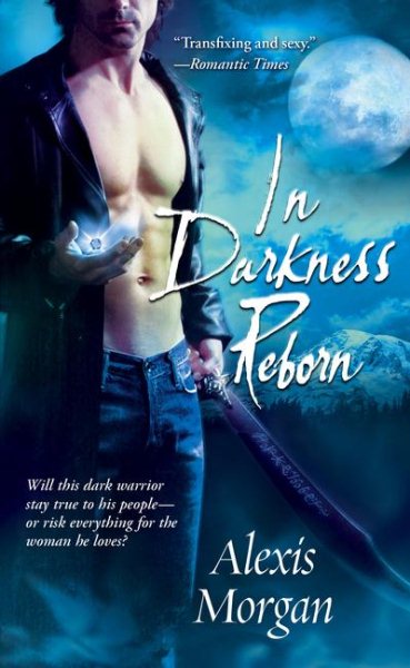 In Darkness Reborn (Paladins of Darkness, Book 3) cover