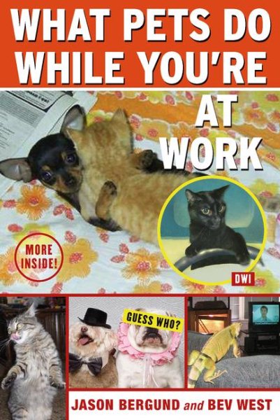 What Pets Do While You're at Work cover