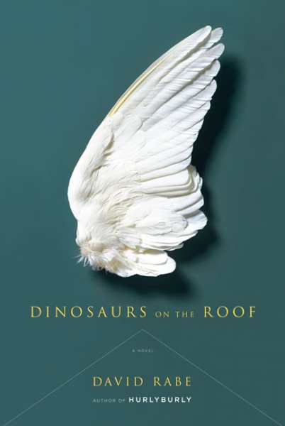 Dinosaurs on the Roof: A Novel cover