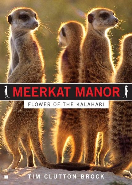 Meerkat Manor: Flower of the Kalahari cover