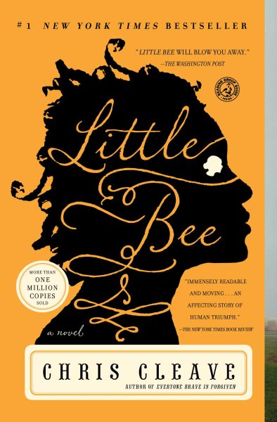 Little Bee: A Novel cover