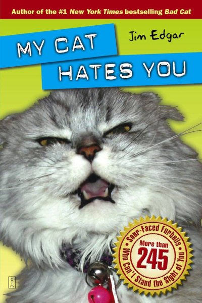 My Cat Hates You cover