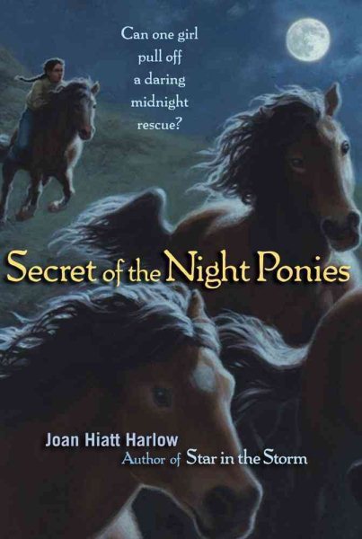 Secret of the Night Ponies cover