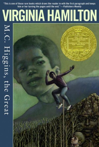M.C. Higgins, the Great cover