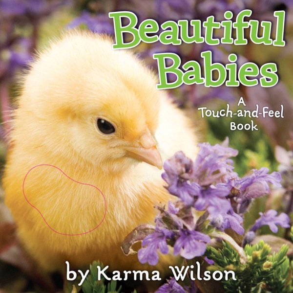Beautiful Babies: A Touch-and-Feel Book cover