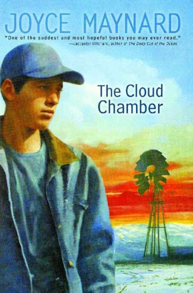 The Cloud Chamber (Anne Schwartz Books) cover