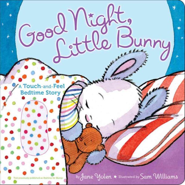 Good Night, Little Bunny: A Touch-and-Feel Bedtime Story cover