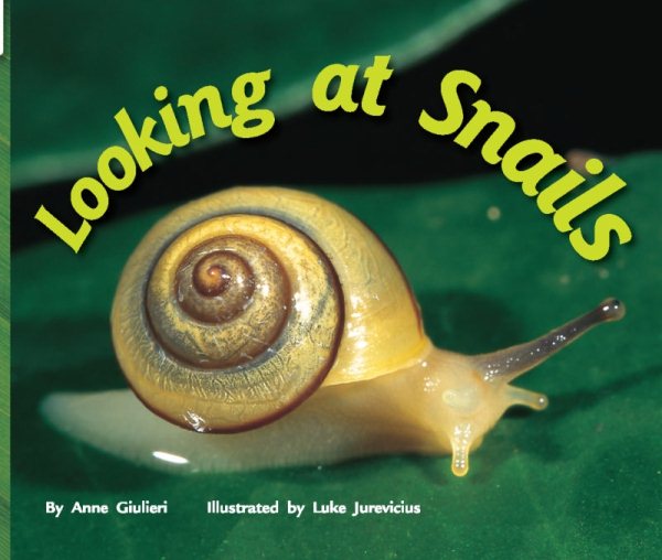 Rigby Flying Colors: Individual Student Edition Red Looking at Snails