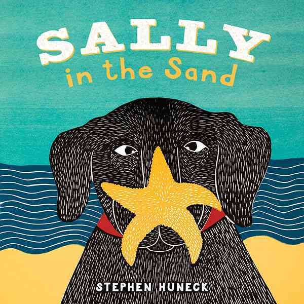 Sally in the Sand (Sally Board Books) cover