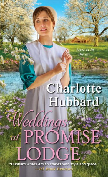 Weddings at Promise Lodge cover