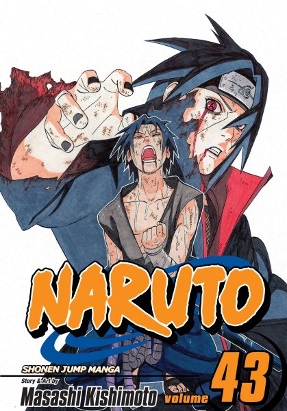 Naruto, Vol. 43: The Man with the Truth cover