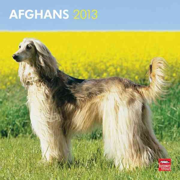 Afghans 2013 Square 12X12 Wall Calendar cover