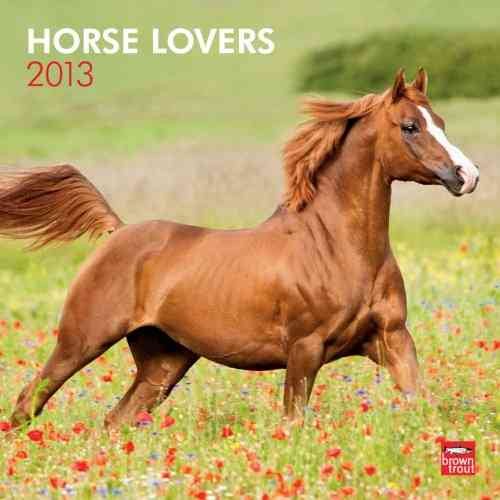 Horse Lovers 2013 Square 12X12 Wall Calendar cover