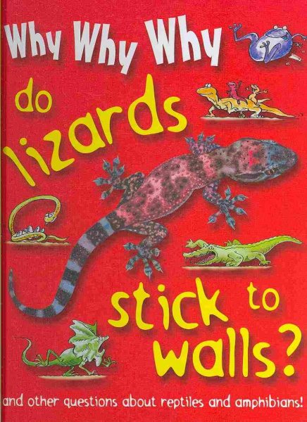 Why Why Why Do Lizards Stick to Walls?