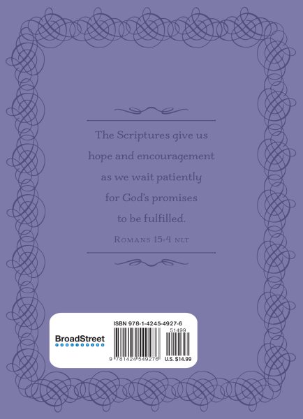 Bible Promises of Comfort and Encouragement (Promises for Life) cover