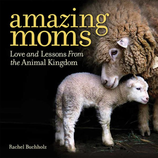 Amazing Moms: Love and Lessons From the Animal Kingdom cover