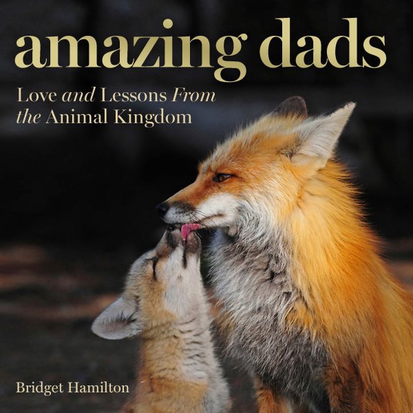 Amazing Dads: Love and Lessons From the Animal Kingdom cover