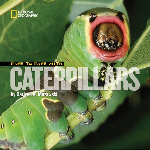 Face to Face with Caterpillars (Face to Face with Animals) cover