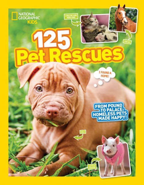 125 Pet Rescues: From Pound to Palace: Homeless Pets Made Happy cover