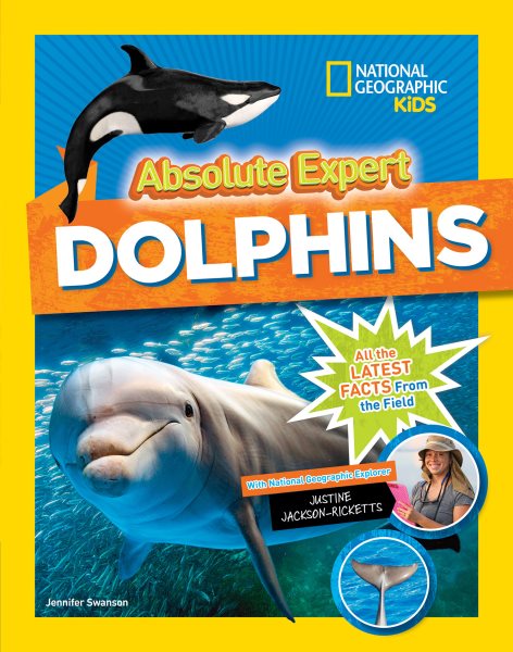 Absolute Expert: Dolphins cover