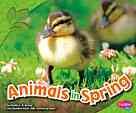 Animals in Spring (All About Spring) cover