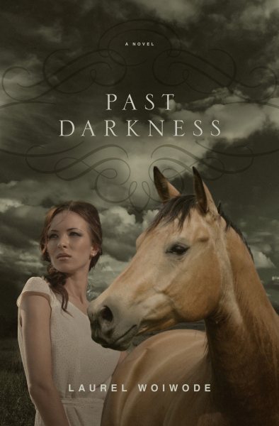 Past Darkness: A Novel cover