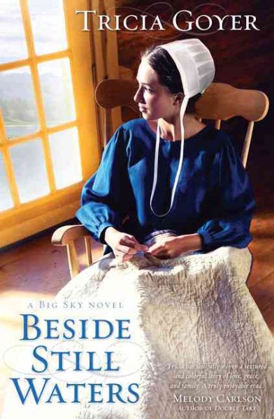 Beside Still Waters: A Big Sky Novel cover