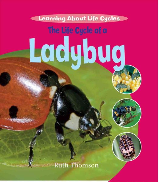 The Life Cycle of a Ladybug (Learning About Life Cycles) cover