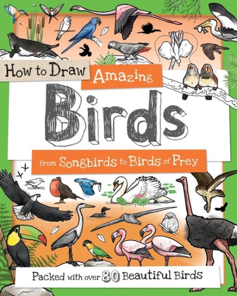 How to Draw Amazing Birds: From Songbirds to Birds of Prey (How to Draw Series) cover