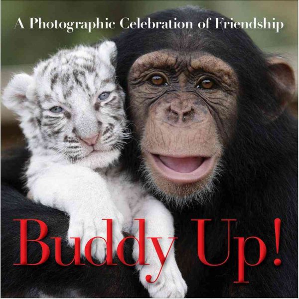 Buddy Up! cover
