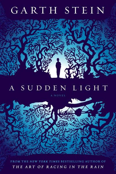 A Sudden Light: A Novel cover