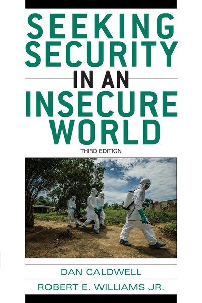 Seeking Security in an Insecure World cover