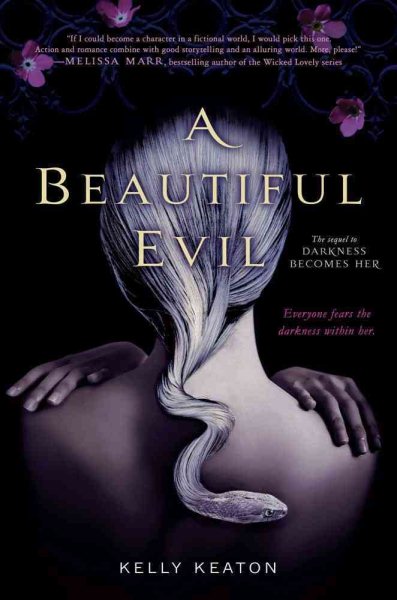 A Beautiful Evil cover