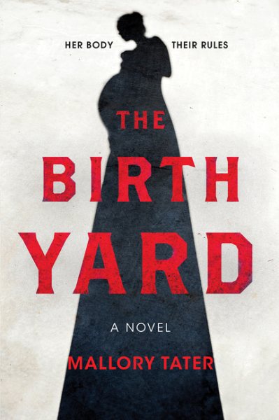 The Birth Yard: A Novel cover