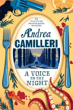 A Voice In The Night cover