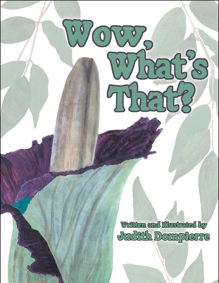 Wow, What's That? cover