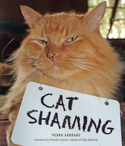 Cat Shaming cover