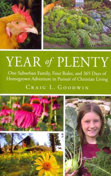 Year of Plenty cover