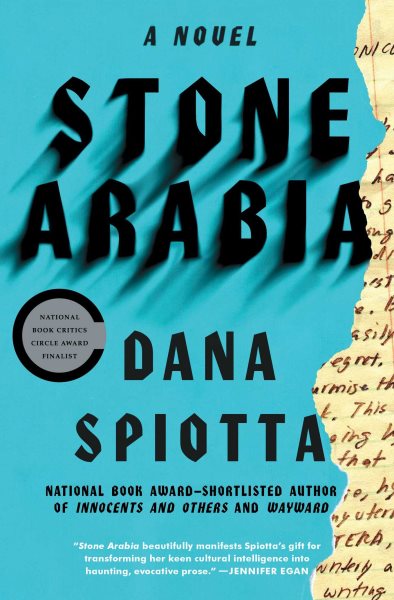 Stone Arabia: A Novel cover