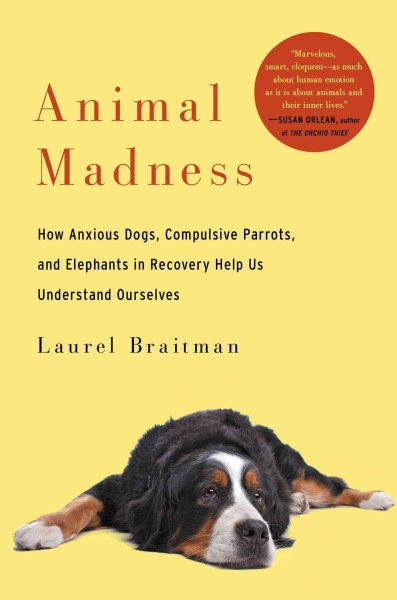 Animal Madness: How Anxious Dogs, Compulsive Parrots, and Elephants in Recovery Help Us Understand Ourselves cover