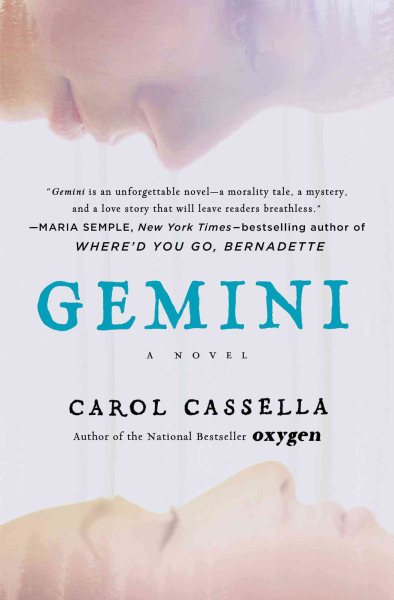 Gemini: A Novel cover