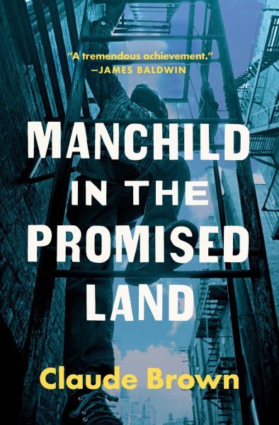 Manchild in the Promised Land cover