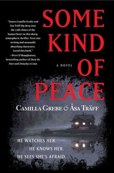 Some Kind of Peace: A Novel (Siri Bergman) cover